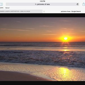 Meet your Posher, Sylvia